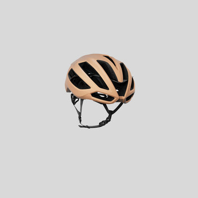 Kask - Protone Icon - Veloholic Cycles